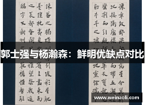 郭士强与杨瀚森:鲜明优缺点对比